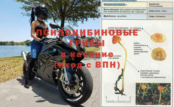 a pvp Заводоуковск