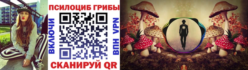 площадка какой сайт  Сясьстрой  Галлюциногенные грибы ЛСД 
